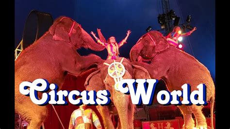 A night of wonder: The magic unfolds at the circus